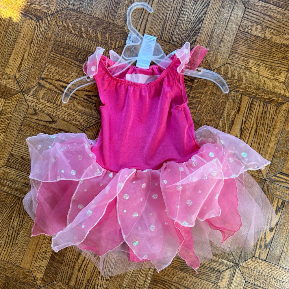 Brand new Y2k Gymboree Pink Fairy Princess Costume for Kids 12-18 months (2008)